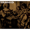 Pyramid - Gut/Nylon Combination Guitar Set